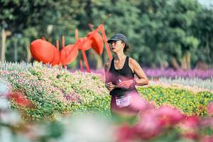 BIB: 
                            <button type="button" onclick="openModal(25932246)" class="btn btn-primary btn-sm float-right btn-popup" data-toggle="modal" data-target=".modal-high-quality">
                        <i class="fas fa-shopping-cart"></i> Add to Cart
                    </button>
                                            <button type="button" onclick="isThisMe(25932246, true)" class="btn btn-success btn-sm float-right btn-popup btn-isme hidden" data-toggle="tooltip" data-placement="bottom" title="นี่คือรูปของคุณใช่ไหม คลิกที่นี่เพื่อเอาเข้าอัลบั้ม">
                        <i class="fas fa-plus"></i> Add to album
                    </button>
                    <button type="button" onclick="isThisMe(25932246, false)" class="btn btn-warning btn-sm float-right btn-popup btn-isnotme hidden">
                        <i class="fas fa-ban"></i> Remove from album
                    </button>